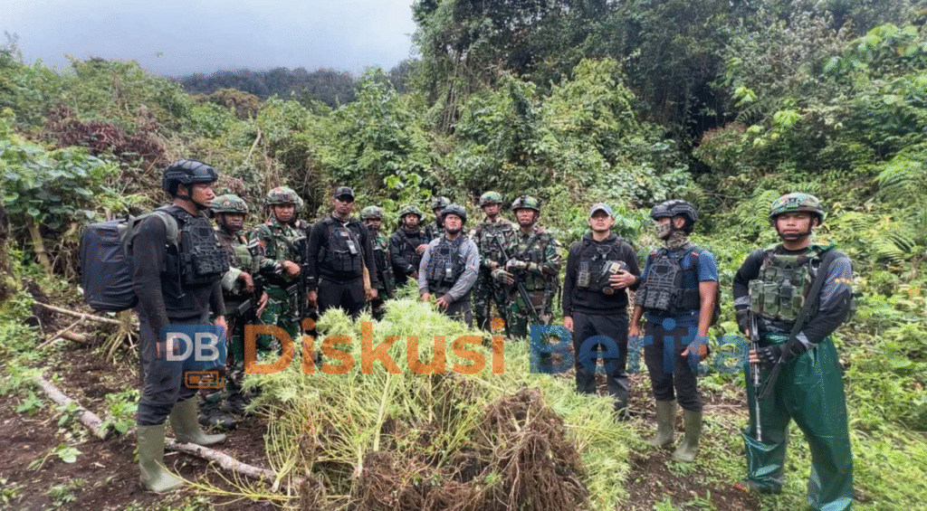 Penemuan Ladang Ganja di Kampung Ngutok 2025